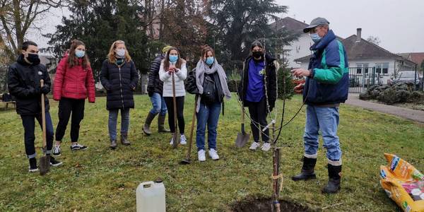 eco-delegues-ont-plante-deux-pommiers-.jpg