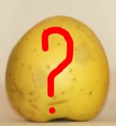 pomme_identifie.JPG