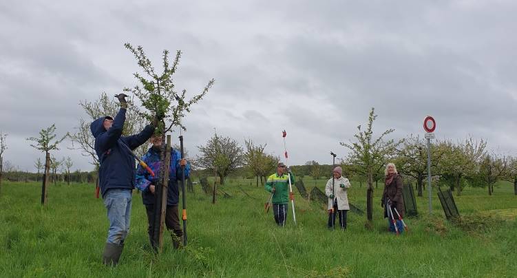 taille_dossenheim.jpg