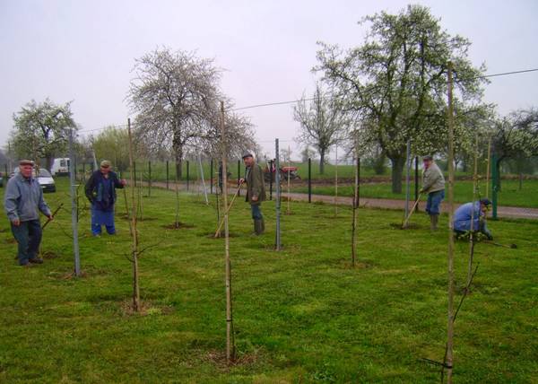 anciens_membres_verger_ecole.JPG
