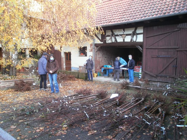 2020_Distribution_de_commande_arbres___2.JPG