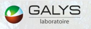 galis.JPG