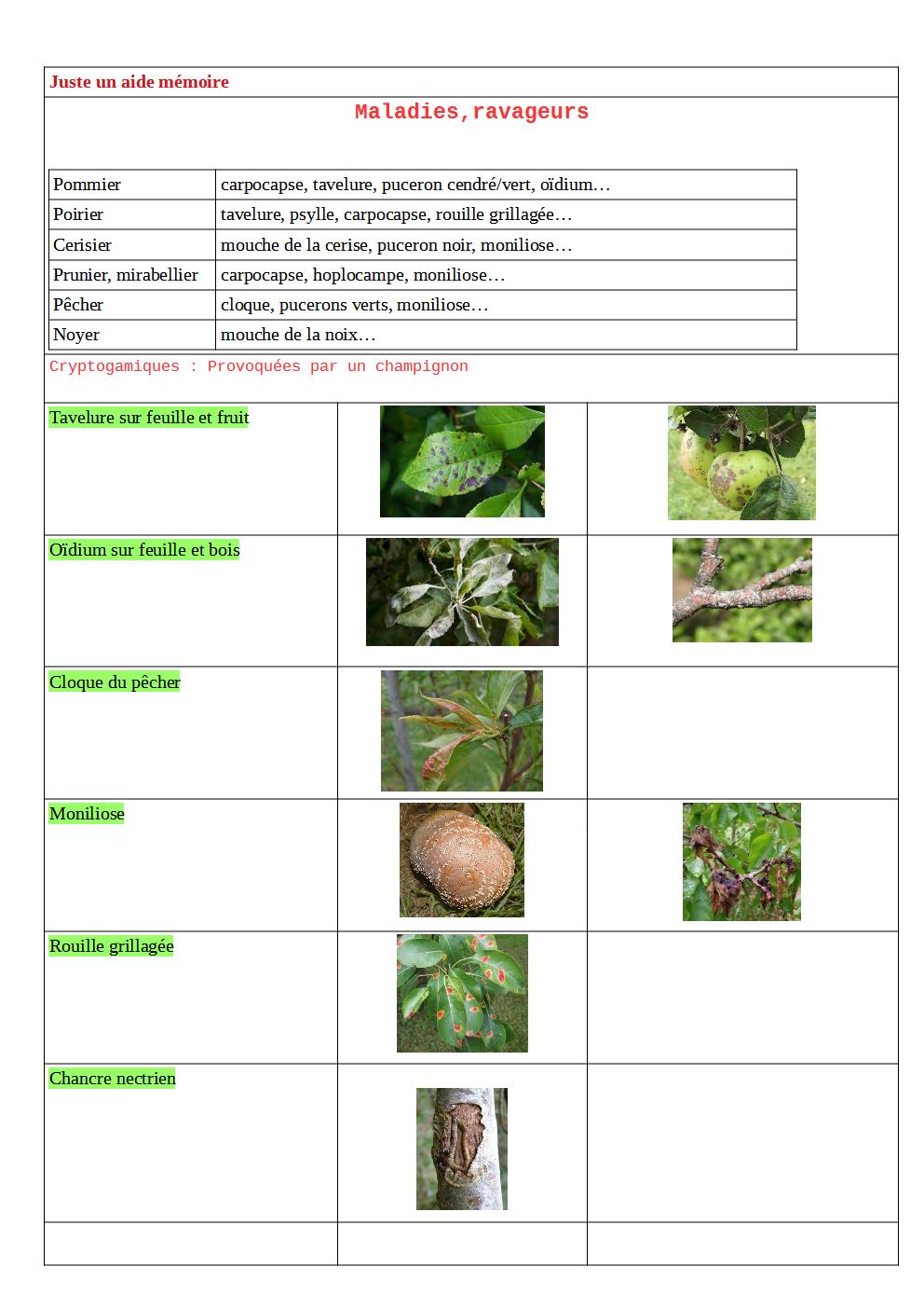 maladie_aide_memoire_p1.jpg