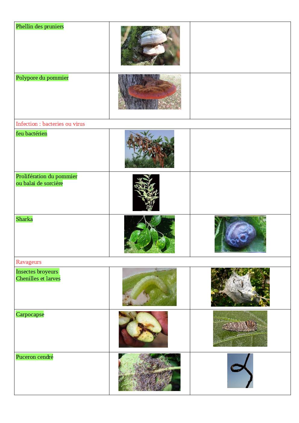 maladie_aide_memoire_p2.jpg
