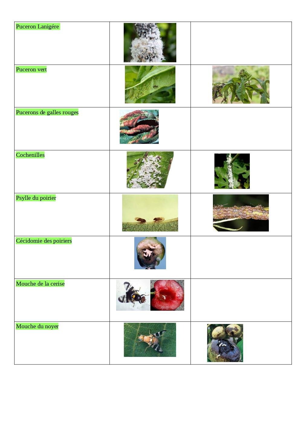 maladie_aide_memoire_p3.jpg