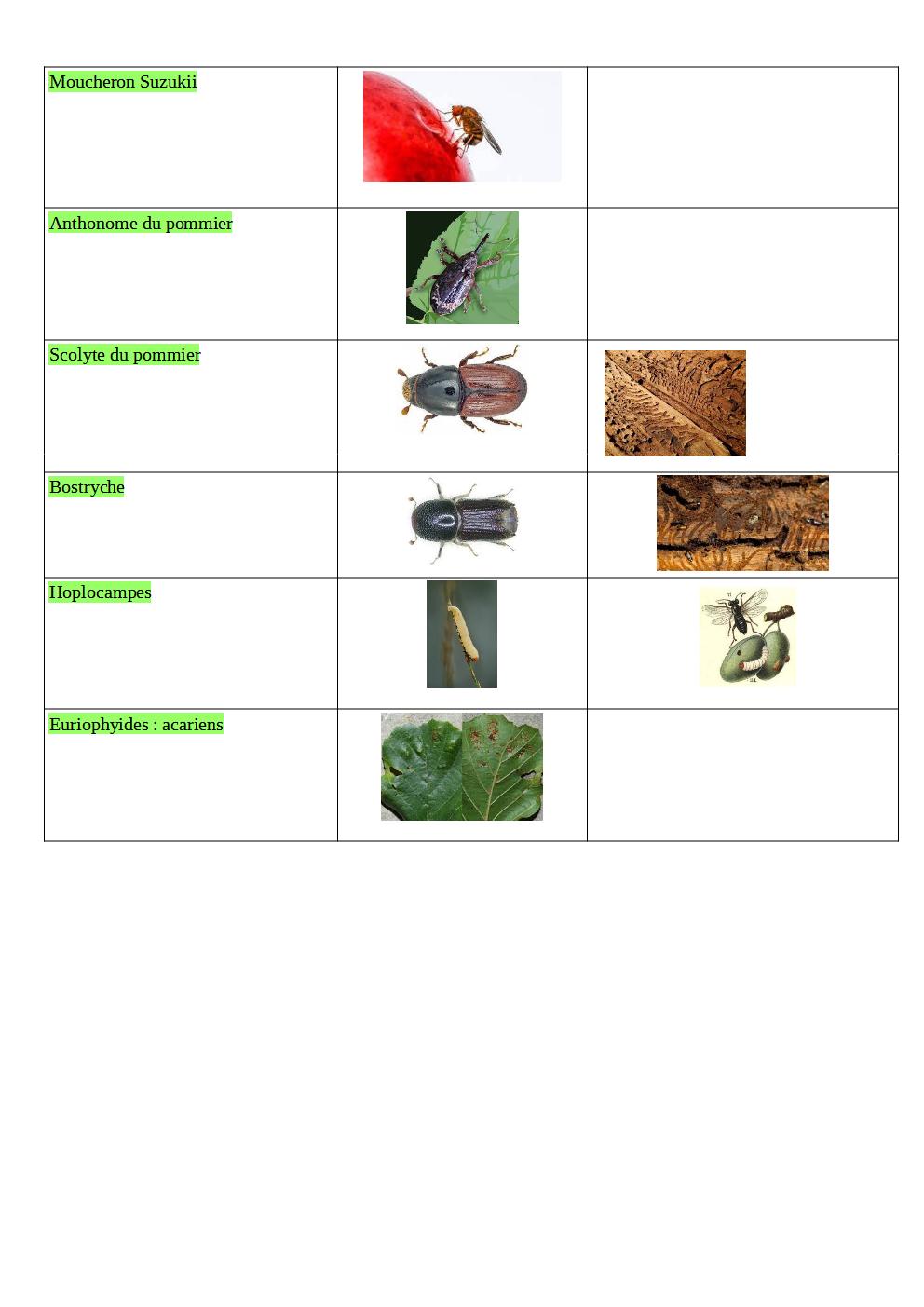 maladie_aide_memoire_p4.jpg