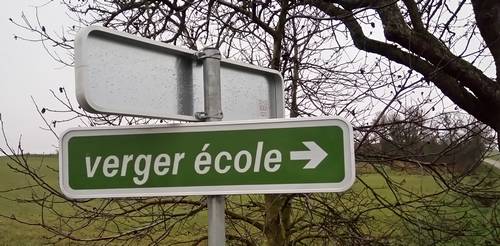 verger_ecole01.JPG