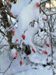 hiver 2021