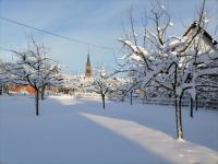 hiver 2021