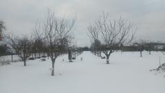 hiver 2021