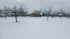 hiver 2021