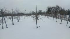hiver 2021