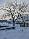 hiver 2021