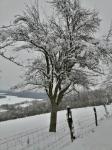 hiver 2021