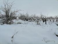 hiver 2021
