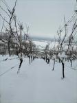 hiver 2021