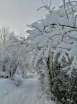 hiver 2021