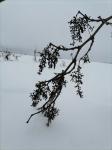 hiver 2021
