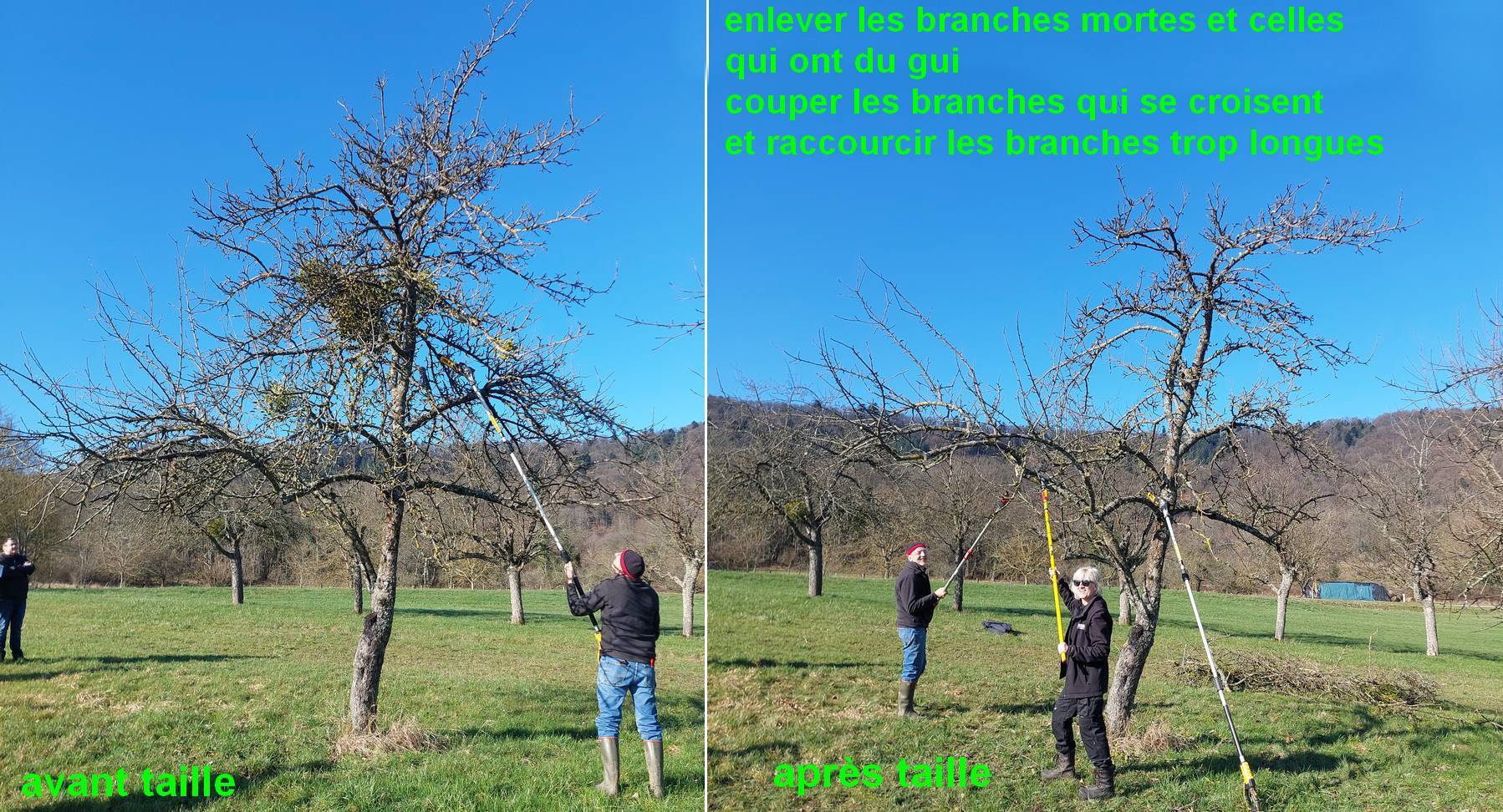 avant-apres_doss.jpg